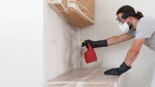 Professional Mold Removal technician working in Clark, NJ